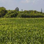 Santiago Travel Guide: Explore the Vibrant Culture, Flavorful Cuisine, and Stunning Landscapes